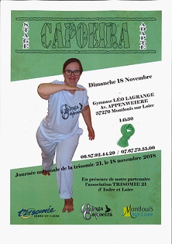 Affiche du stage de capoeira adaptée du 18 novembre