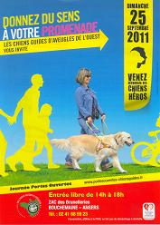 affiche de la journée où l'on voit une femme de profil qui marche sur le gazon avec son chien guide, sont dessinnées derrière elle des silhouettes de personnes qui se promènent
