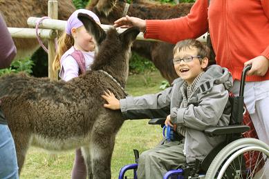 Photo d'un petit garçon en fauteuil qui caresse un âne