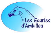 Logo des écuries d'Ambillou représenté par le dessin d'une tête de cheval de profil sur un fond bleu