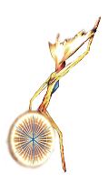 logo de l'association Elan pour la Vie qui symbolise une danseuse en fauteuil