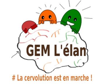 G.E.M pour adultes cérébrolésés : programme juillet