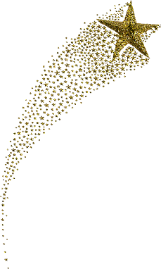 https://www.mdph37.fr/images/divers/Etoile_filante.gif