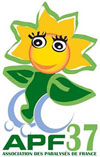 image du tournesol de la fête du sourire